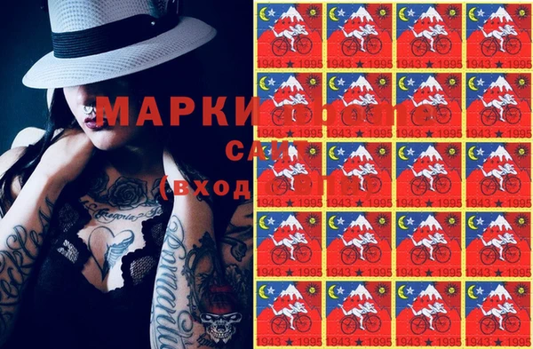 СК Алексин