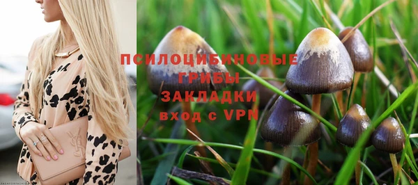 СК Алексин