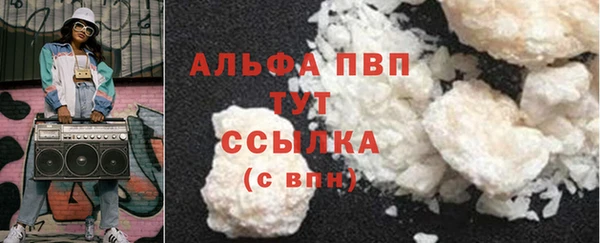 СК Алексин