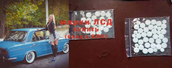 СК Алексин
