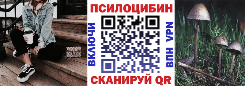 блэк спрут   Талица  Галлюциногенные грибы Magic Shrooms 